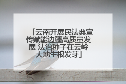 云南开展民法典宣传赋能边疆高质量发展 法治种子在云岭大地生根发芽