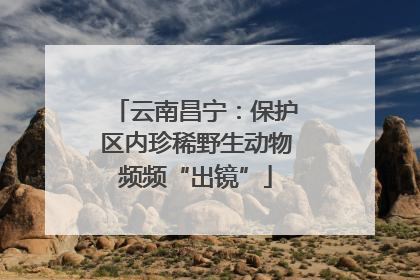 云南昌宁：保护区内珍稀野生动物频频“出镜”