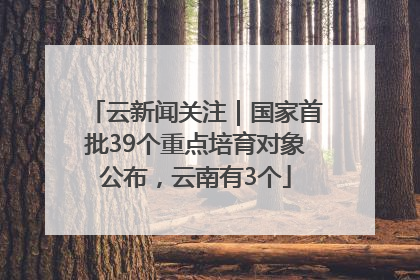 云新闻关注｜国家首批39个重点培育对象公布，云南有3个