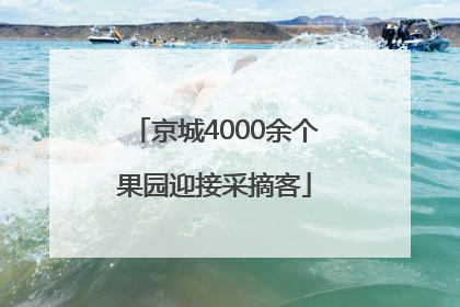 京城4000余个果园迎接采摘客