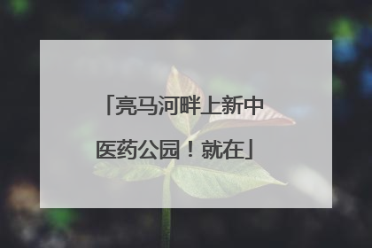 亮马河畔上新中医药公园！就在