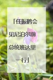 任振鹤会见尼泊尔前总统班达里一行