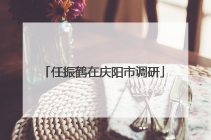 任振鹤在庆阳市调研