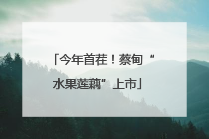 今年首茬！蔡甸“水果莲藕”上市