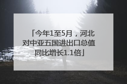 今年1至5月，河北对中亚五国进出口总值同比增长1.1倍