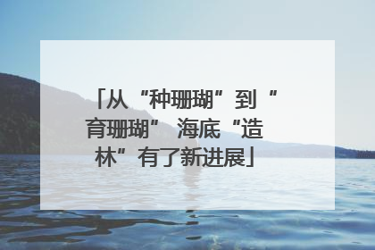 从“种珊瑚”到“育珊瑚” 海底“造林”有了新进展