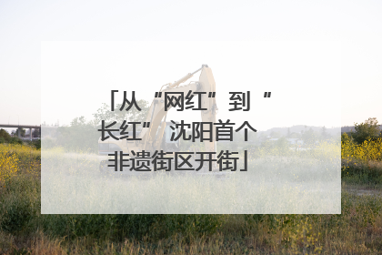 从“网红”到“长红” 沈阳首个非遗街区开街