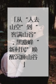从“人去山空”到“客满山谷”，黑麋峰“新村民”唤醒沉睡山谷