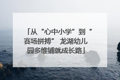 从“心中小学”到“赛场拼搏” 龙湖幼儿园多维铺就成长路