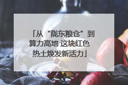 从“陇东粮仓”到算力高地 这块红色热土焕发新活力