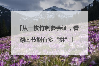 从一枚竹制参会证，看湖南节能有多“拼”