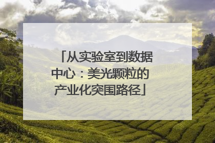 从实验室到数据中心：美光颗粒的产业化突围路径