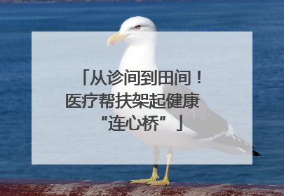 从诊间到田间！医疗帮扶架起健康“连心桥”