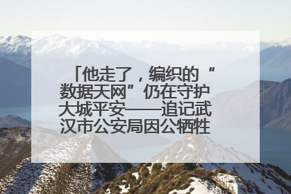 他走了，编织的“数据天网”仍在守护大城平安——追记武汉市公安局因公牺牲民警万松