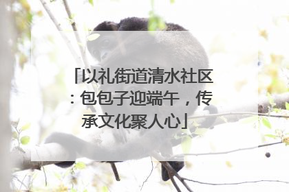 以礼街道清水社区：包包子迎端午，传承文化聚人心