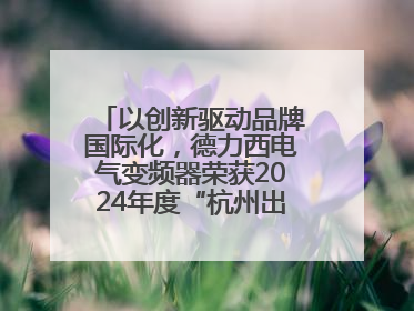 以创新驱动品牌国际化，德力西电气变频器荣获2024年度“杭州出口名牌”称号