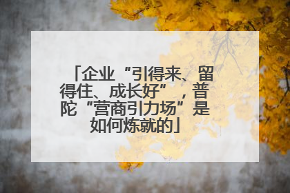 企业“引得来、留得住、成长好”，普陀“营商引力场”是如何炼就的