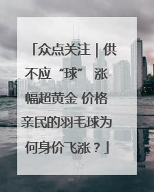 众点关注｜供不应“球” 涨幅超黄金 价格亲民的羽毛球为何身价飞涨？
