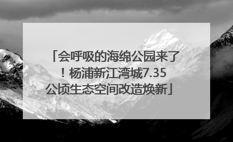会呼吸的海绵公园来了！杨浦新江湾城7.35公顷生态空间改造焕新
