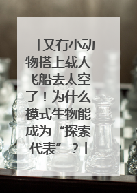 又有小动物搭上载人飞船去太空了！为什么模式生物能成为“探索代表”？