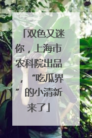 双色又迷你，上海市农科院出品，“吃瓜界”的小清新来了