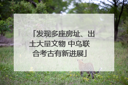 发现多座房址、出土大量文物 中乌联合考古有新进展