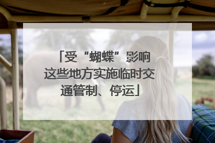 受“蝴蝶”影响 这些地方实施临时交通管制、停运
