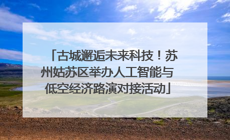古城邂逅未来科技！苏州姑苏区举办人工智能与低空经济路演对接活动