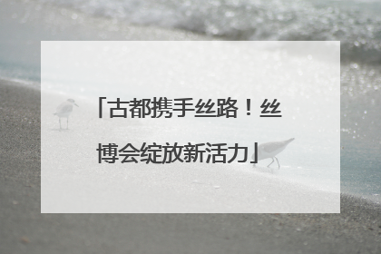 古都携手丝路！丝博会绽放新活力