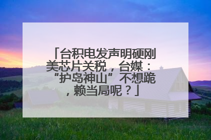 台积电发声明硬刚美芯片关税，台媒：“护岛神山”不想跪，赖当局呢？