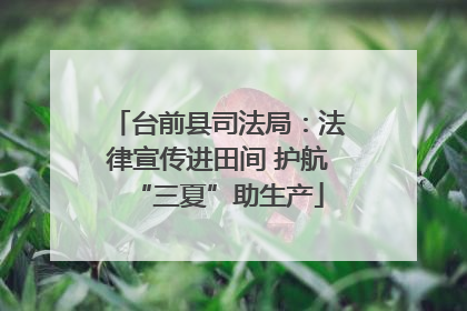 台前县司法局：法律宣传进田间 护航“三夏”助生产