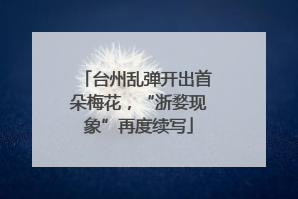 台州乱弹开出首朵梅花，“浙婺现象”再度续写