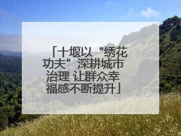 十堰以“绣花功夫”深耕城市治理 让群众幸福感不断提升