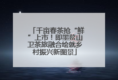 千亩春茶抢“鲜”上市！即墨鳌山卫茶旅融合绘就乡村振兴新图景