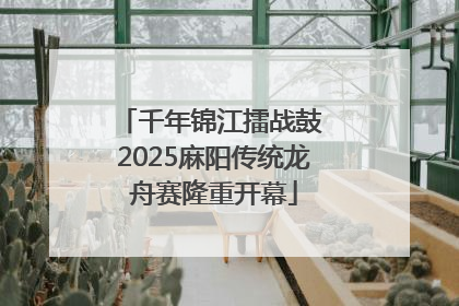 千年锦江擂战鼓 2025麻阳传统龙舟赛隆重开幕