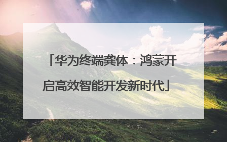 华为终端龚体：鸿蒙开启高效智能开发新时代