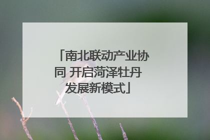 南北联动产业协同 开启菏泽牡丹发展新模式