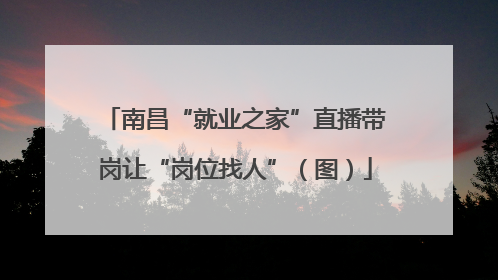 南昌“就业之家”直播带岗让“岗位找人”（图）