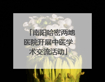 南阳哈密两地医院开展中医学术交流活动