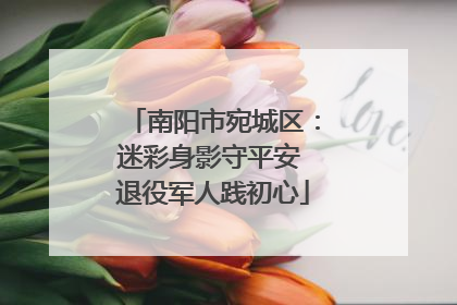 南阳市宛城区：迷彩身影守平安 退役军人践初心