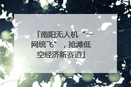 南阳无人机“一网统飞”，抢滩低空经济新赛道