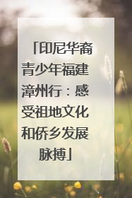 印尼华裔青少年福建漳州行：感受祖地文化和侨乡发展脉搏