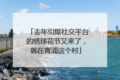 去年引爆社交平台的绣球花节又来了，就在青浦这个村