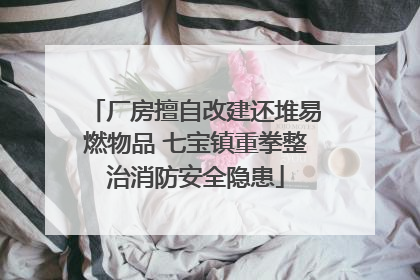 厂房擅自改建还堆易燃物品 七宝镇重拳整治消防安全隐患