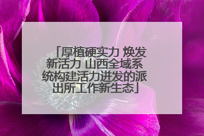 厚植硬实力 焕发新活力 山西全域系统构建活力迸发的派出所工作新生态
