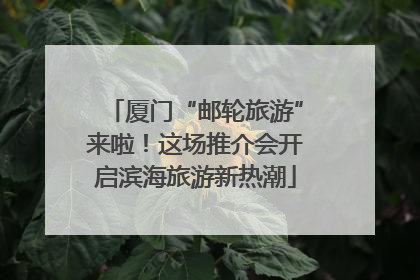 厦门“邮轮旅游”来啦！这场推介会开启滨海旅游新热潮