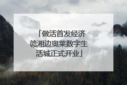 做活首发经济 赣湘边奥莱数字生活城正式开业