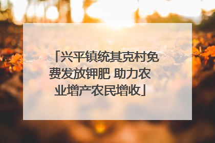 兴平镇统其克村免费发放钾肥 助力农业增产农民增收