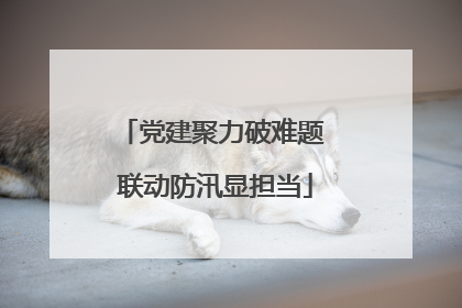 党建聚力破难题 联动防汛显担当