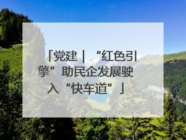 党建｜“红色引擎”助民企发展驶入“快车道”